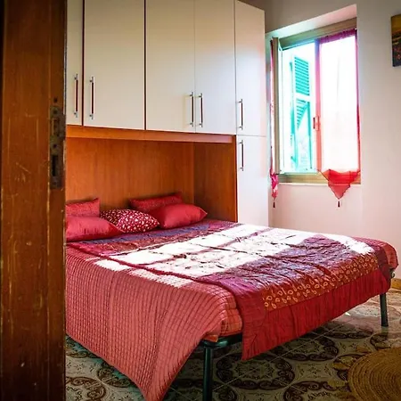 Middle Earth Специя